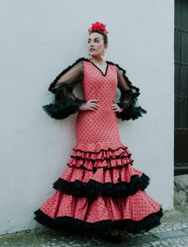 Modelo Lebrija