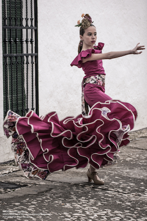 isabel hernandez academias3