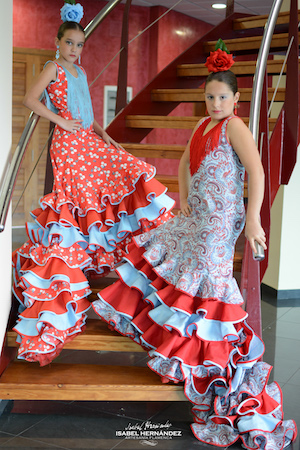 isabel hernandez academias parrena1